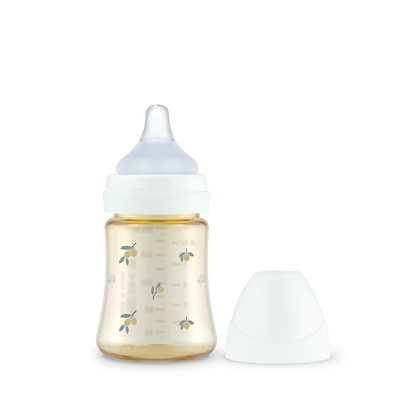 [Clearance] Olive Feeding Bottle Single Pack with Teat (Stage 1/Stage 2)
