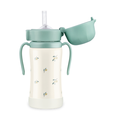 Stainless Olive Pistachio Straw Cup (200mL/300mL)