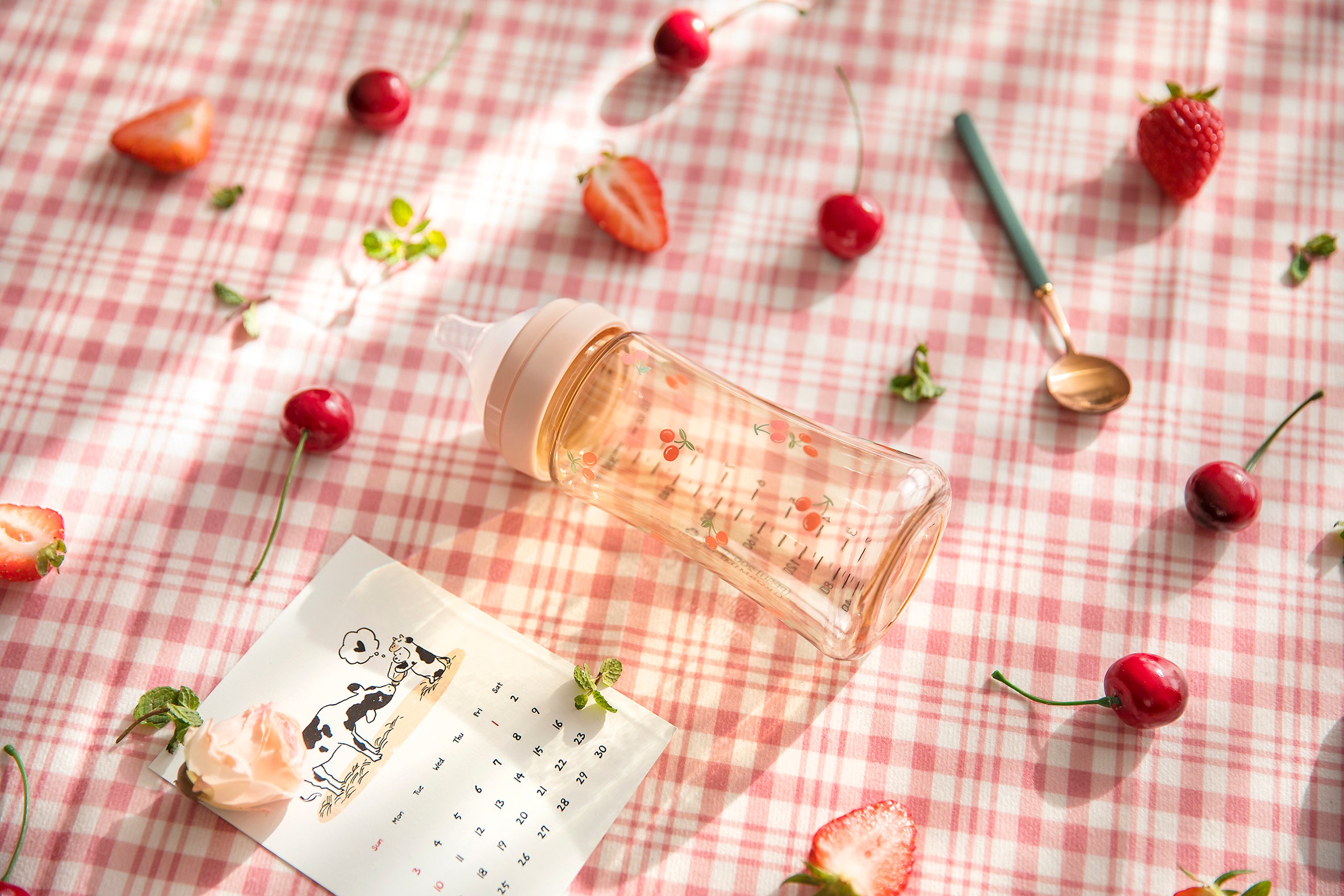 [Clearance] Cherrish Feeding Bottle Single Pack with Teat (Stage 1 / Stage 2)